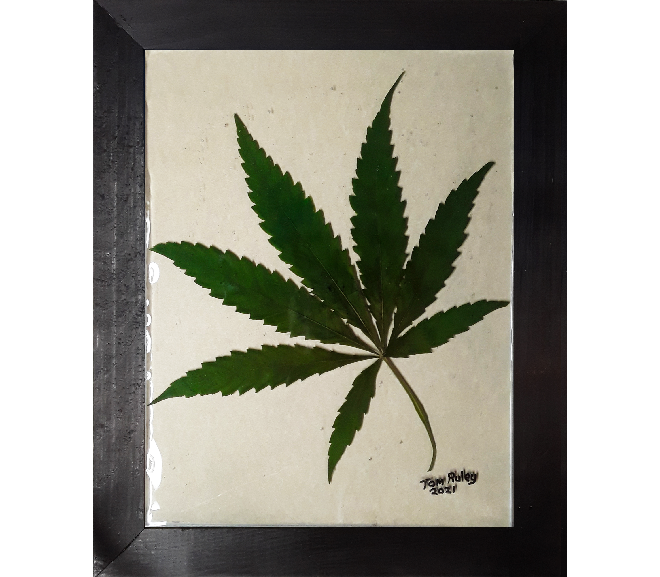 Luxury crown frame vintage with weed leaf ornate By artgrarisstudio